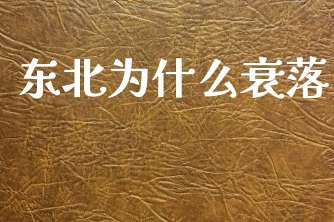 东北为什么衰落_https://wap.lcpcjs.com_美股行情_第1张
