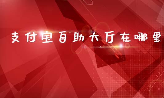支付宝自助大厅在哪里_https://wap.lcpcjs.com_外汇市场_第1张