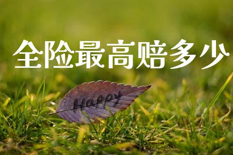 全险最高赔多少_https://wap.lcpcjs.com_外汇市场_第1张