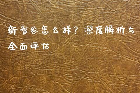 新智谷怎么样？深度解析与全面评估_https://wap.lcpcjs.com_美股行情_第1张