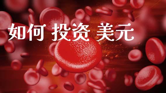 如何 投资 美元_https://wap.lcpcjs.com_全球经济_第1张