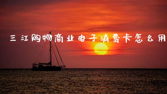 三江购物商业电子消费卡怎么用_https://wap.lcpcjs.com_外汇市场_第1张