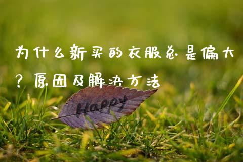 为什么新买的衣服总是偏大？原因及解决方法_https://wap.lcpcjs.com_美股行情_第1张