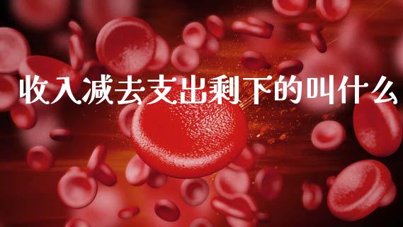 收入减去支出剩下的叫什么_https://wap.lcpcjs.com_全球经济_第1张