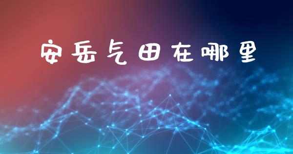 安岳气田在哪里_https://wap.lcpcjs.com_美股行情_第1张