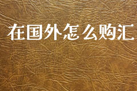 在国外怎么购汇_https://wap.lcpcjs.com_美股行情_第1张