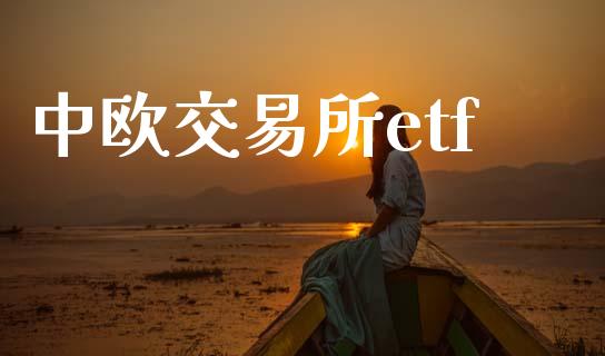 中欧交易所etf_https://wap.lcpcjs.com_外汇市场_第1张