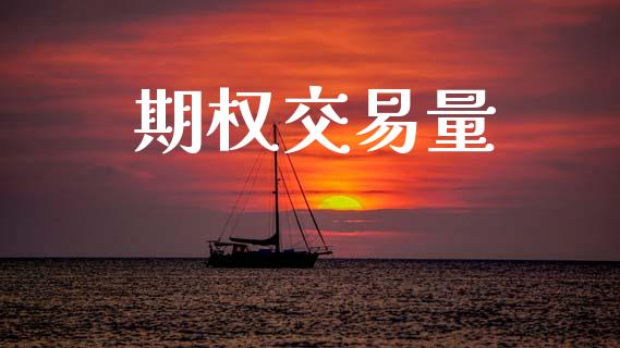 期权交易量_https://wap.lcpcjs.com_外汇市场_第1张