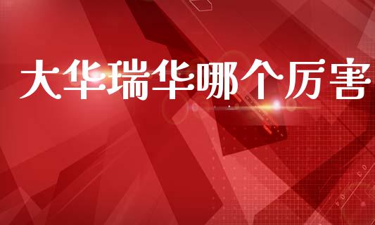 大华瑞华哪个厉害_https://wap.lcpcjs.com_外汇市场_第1张
