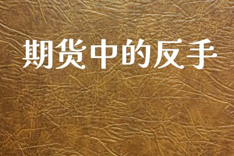 期货中的反手_https://wap.lcpcjs.com_全球经济_第1张