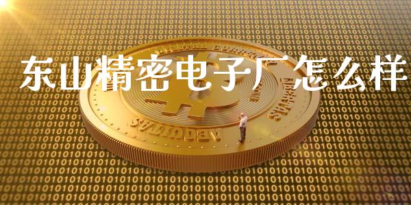 东山精密电子厂怎么样_https://wap.lcpcjs.com_美股行情_第1张