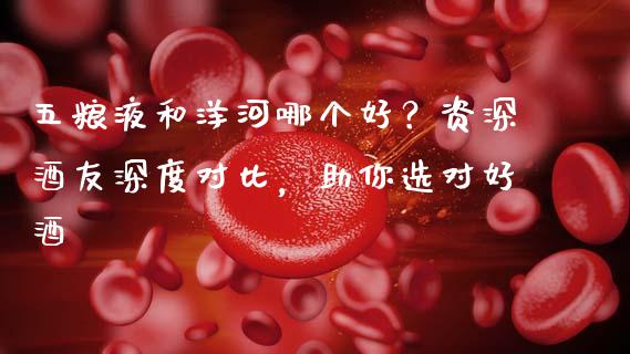 五粮液和洋河哪个好？资深酒友深度对比，助你选对好酒_https://wap.lcpcjs.com_美股行情_第1张