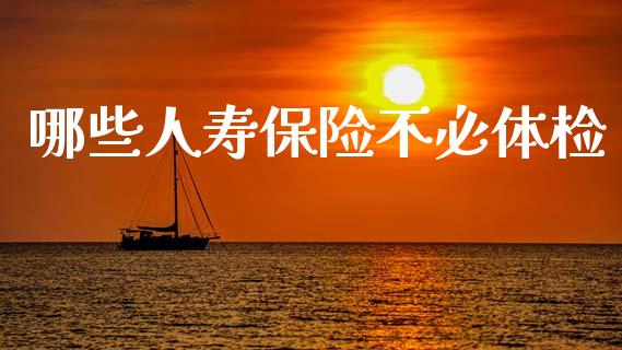 哪些人寿保险不必体检_https://wap.lcpcjs.com_美股行情_第1张