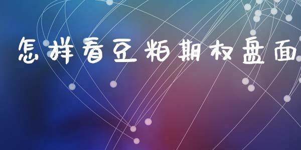 怎样看豆粕期权盘面_https://wap.lcpcjs.com_外汇市场_第1张
