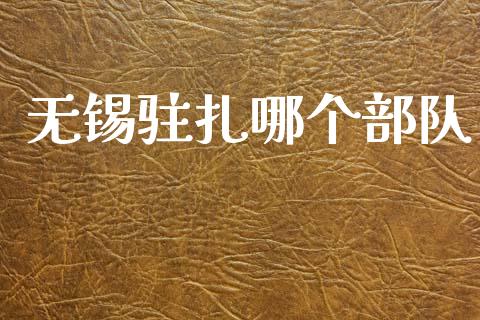 无锡驻扎哪个部队_https://wap.lcpcjs.com_股港行情_第1张
