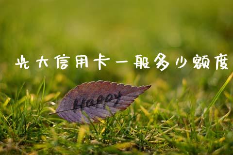 光大信用卡一般多少额度_https://wap.lcpcjs.com_外汇市场_第1张