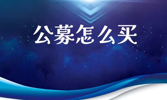 公募怎么买_https://wap.lcpcjs.com_外汇市场_第1张
