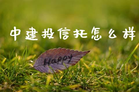 中建投信托怎么样_https://wap.lcpcjs.com_股港行情_第1张
