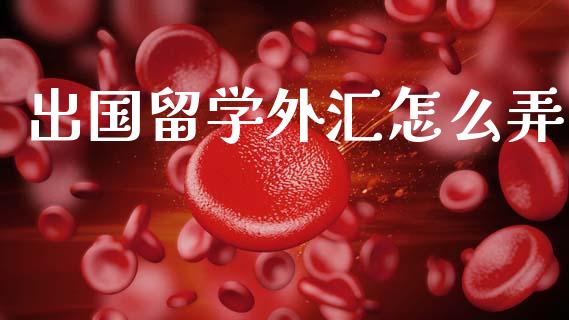 出国留学外汇怎么弄_https://wap.lcpcjs.com_股港行情_第1张