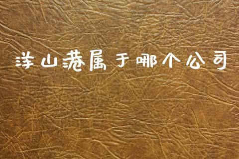 洋山港属于哪个公司_https://wap.lcpcjs.com_全球经济_第1张
