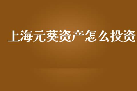 上海元葵资产怎么投资_https://wap.lcpcjs.com_美股行情_第1张