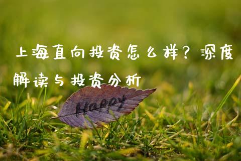 上海直向投资怎么样？深度解读与投资分析_https://wap.lcpcjs.com_股港行情_第1张