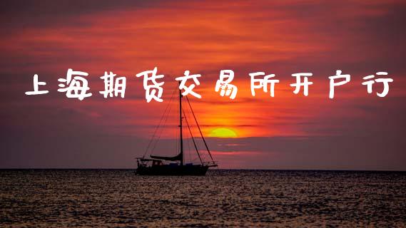 上海期货交易所开户行_https://wap.lcpcjs.com_外汇市场_第1张