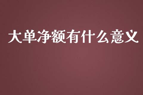 大单净额有什么意义_https://wap.lcpcjs.com_外汇市场_第1张