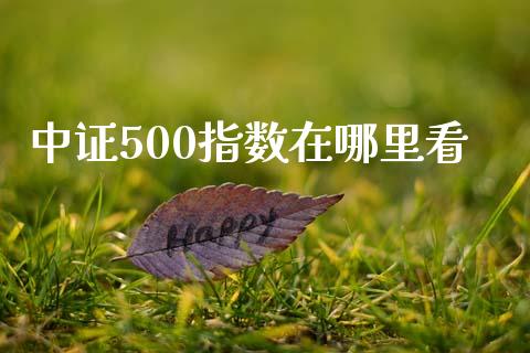 中证500指数在哪里看_https://wap.lcpcjs.com_股港行情_第1张