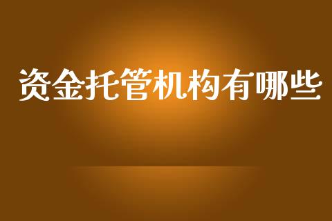 资金托管机构有哪些_https://wap.lcpcjs.com_美股行情_第1张