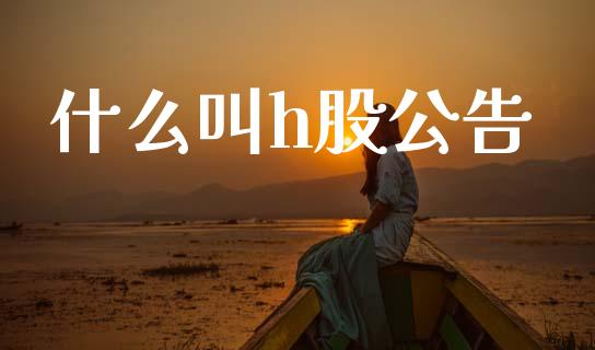 什么叫h股公告_https://wap.lcpcjs.com_股港行情_第1张