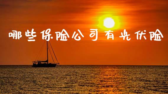 哪些保险公司有光伏险_https://wap.lcpcjs.com_外汇市场_第1张
