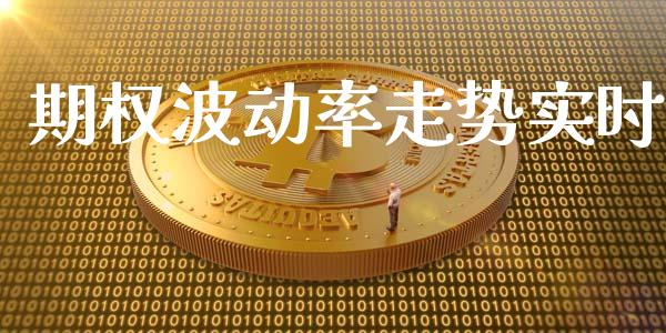期权波动率走势实时_https://wap.lcpcjs.com_全球经济_第1张