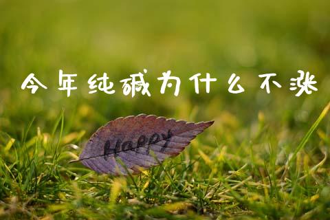 今年纯碱为什么不涨_https://wap.lcpcjs.com_外汇市场_第1张