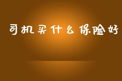 司机买什么保险好_https://wap.lcpcjs.com_全球经济_第1张