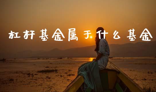 杠杆基金属于什么基金_https://wap.lcpcjs.com_外汇市场_第1张