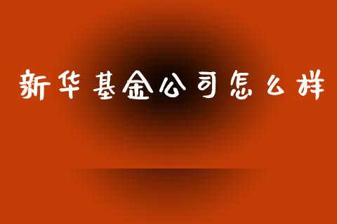 新华基金公司怎么样_https://wap.lcpcjs.com_外汇市场_第1张