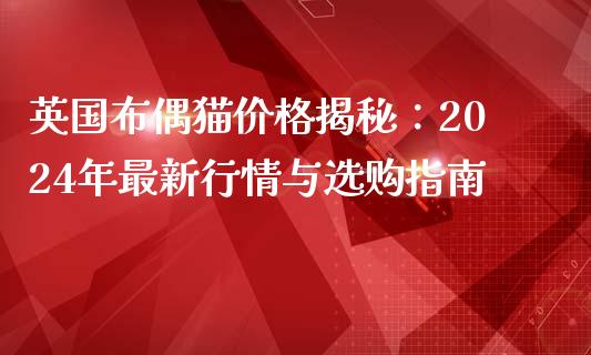 英国布偶猫价格揭秘：2024年最新行情与选购指南_https://wap.lcpcjs.com_美股行情_第1张