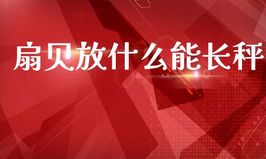 扇贝放什么能长秤_https://wap.lcpcjs.com_全球经济_第1张