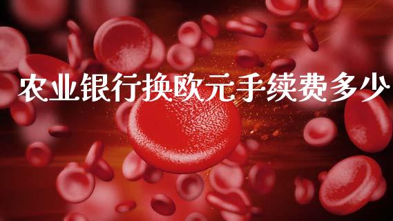 农业银行换欧元手续费多少_https://wap.lcpcjs.com_外汇市场_第1张