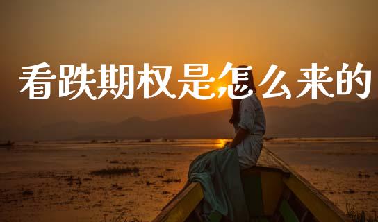 看跌期权是怎么来的_https://wap.lcpcjs.com_全球经济_第1张