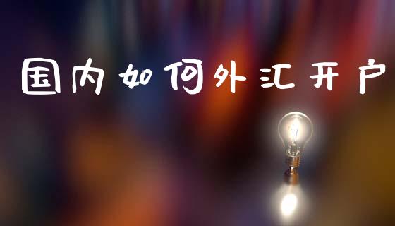 国内如何外汇开户_https://wap.lcpcjs.com_美股行情_第1张