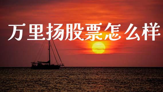 万里扬股票怎么样_https://wap.lcpcjs.com_全球经济_第1张