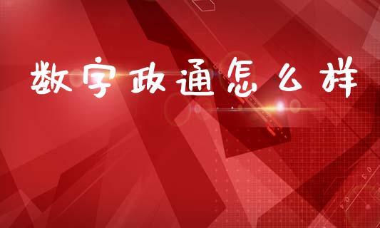 数字政通怎么样_https://wap.lcpcjs.com_股港行情_第1张