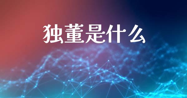 独董是什么_https://wap.lcpcjs.com_美股行情_第1张