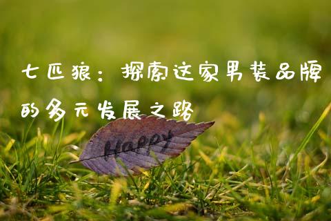 七匹狼：探索这家男装品牌的多元发展之路_https://wap.lcpcjs.com_全球经济_第1张