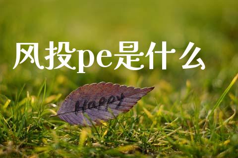 风投pe是什么_https://wap.lcpcjs.com_美股行情_第1张