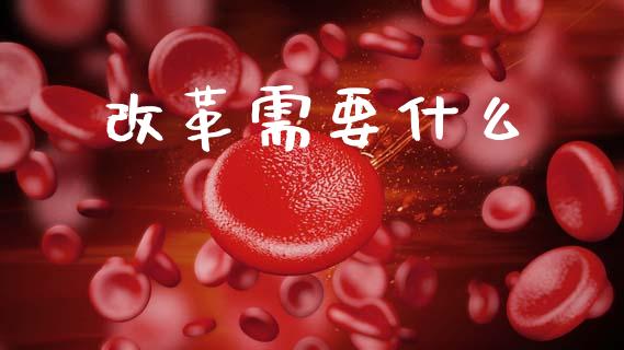 改革需要什么_https://wap.lcpcjs.com_外汇市场_第1张