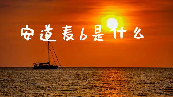 安道麦b是什么_https://wap.lcpcjs.com_美股行情_第1张