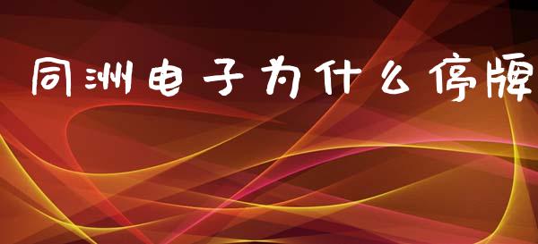 同洲电子为什么停牌_https://wap.lcpcjs.com_全球经济_第1张